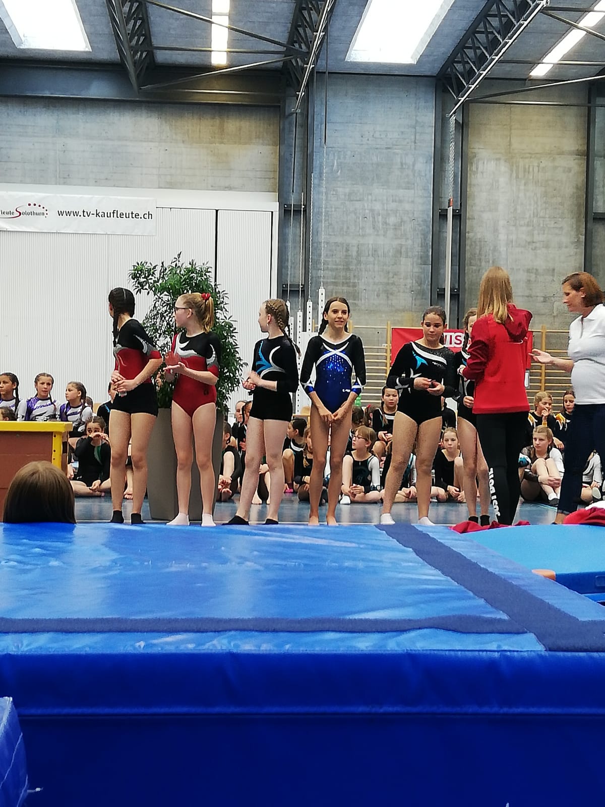 Bild (53)
